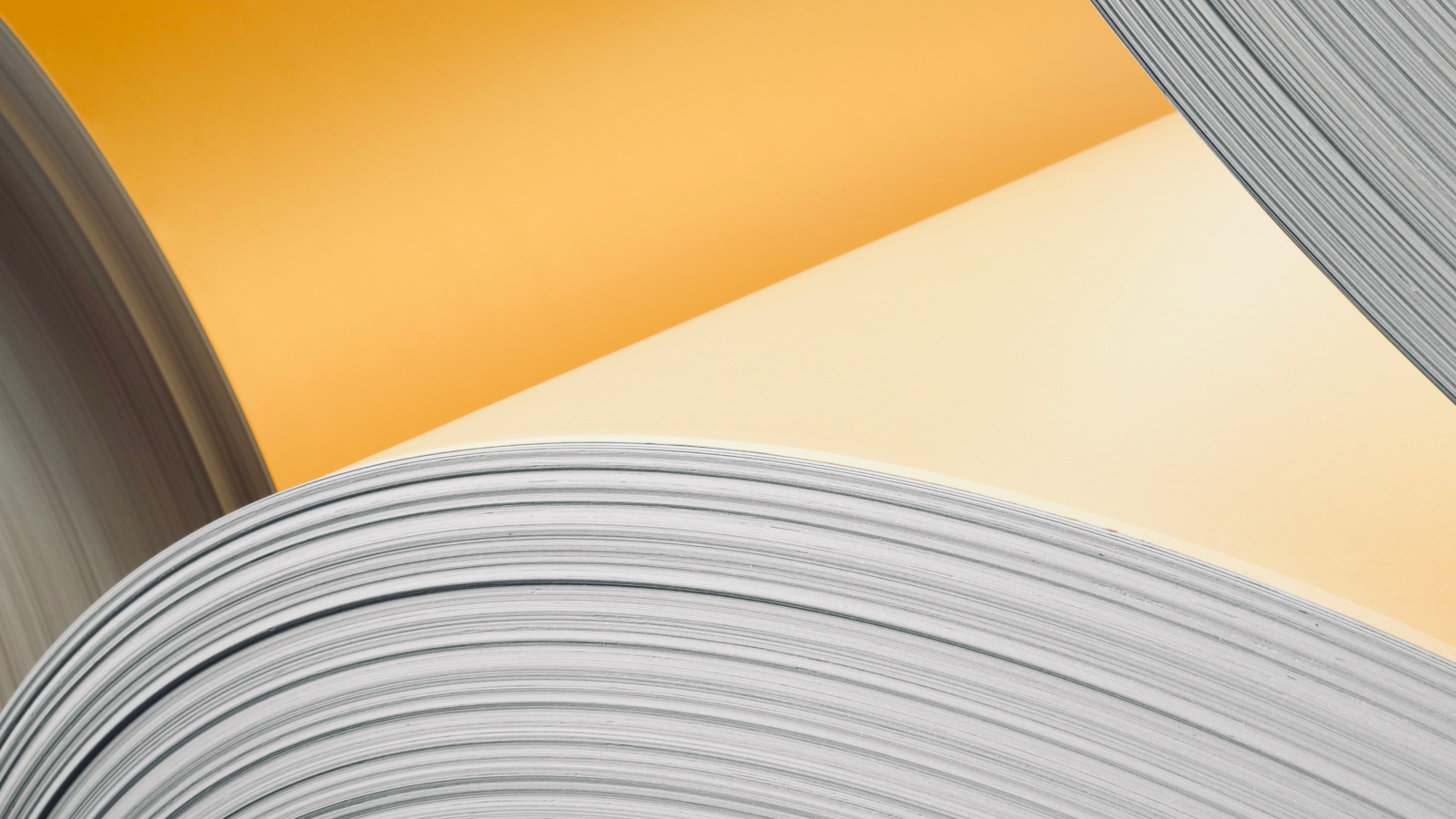 Industrial paper roll.