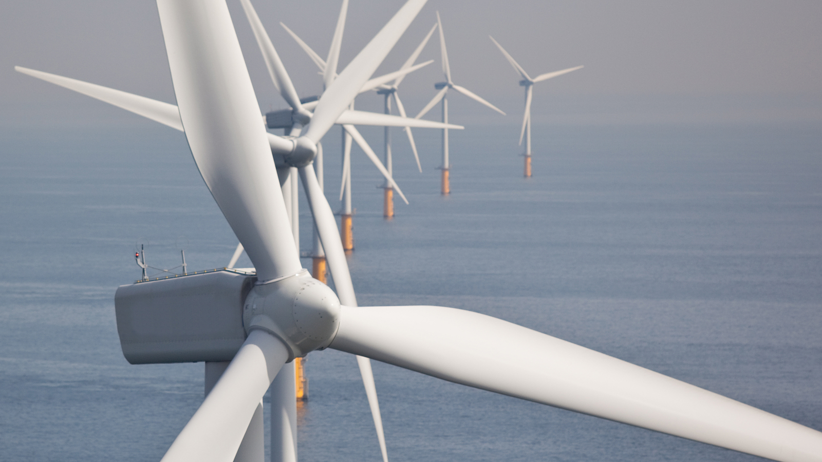 16_9_Wind_shutterstock_130551422-hohe-aufloesung